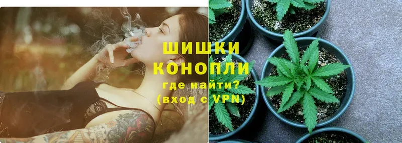 как найти закладки  Петушки  Бошки марихуана White Widow 